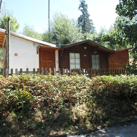 Bungalow "A Choupana" - Quinta Da Carvoica - Vale Pradinhos Vale de Pradinhos Exterior foto