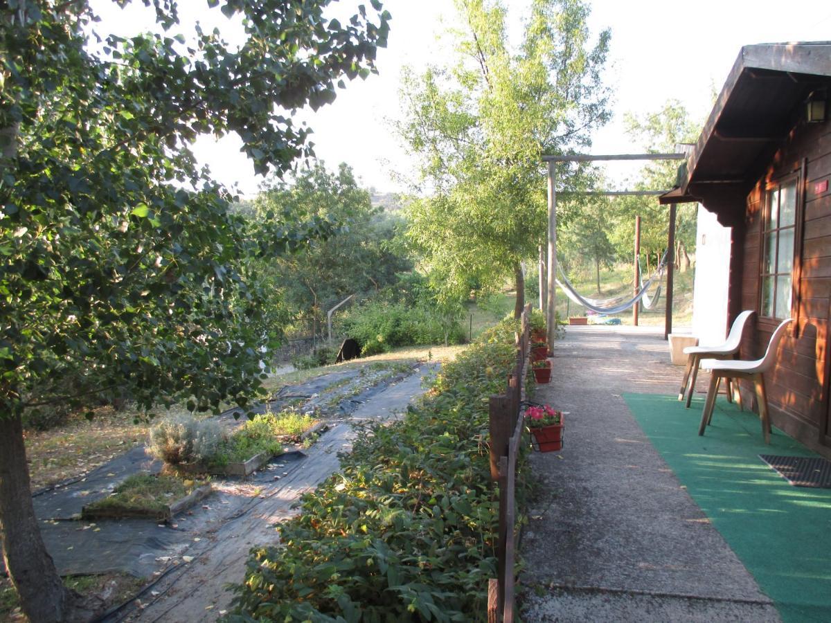 Bungalow "A Choupana" - Quinta Da Carvoica - Vale Pradinhos Vale de Pradinhos Exterior foto